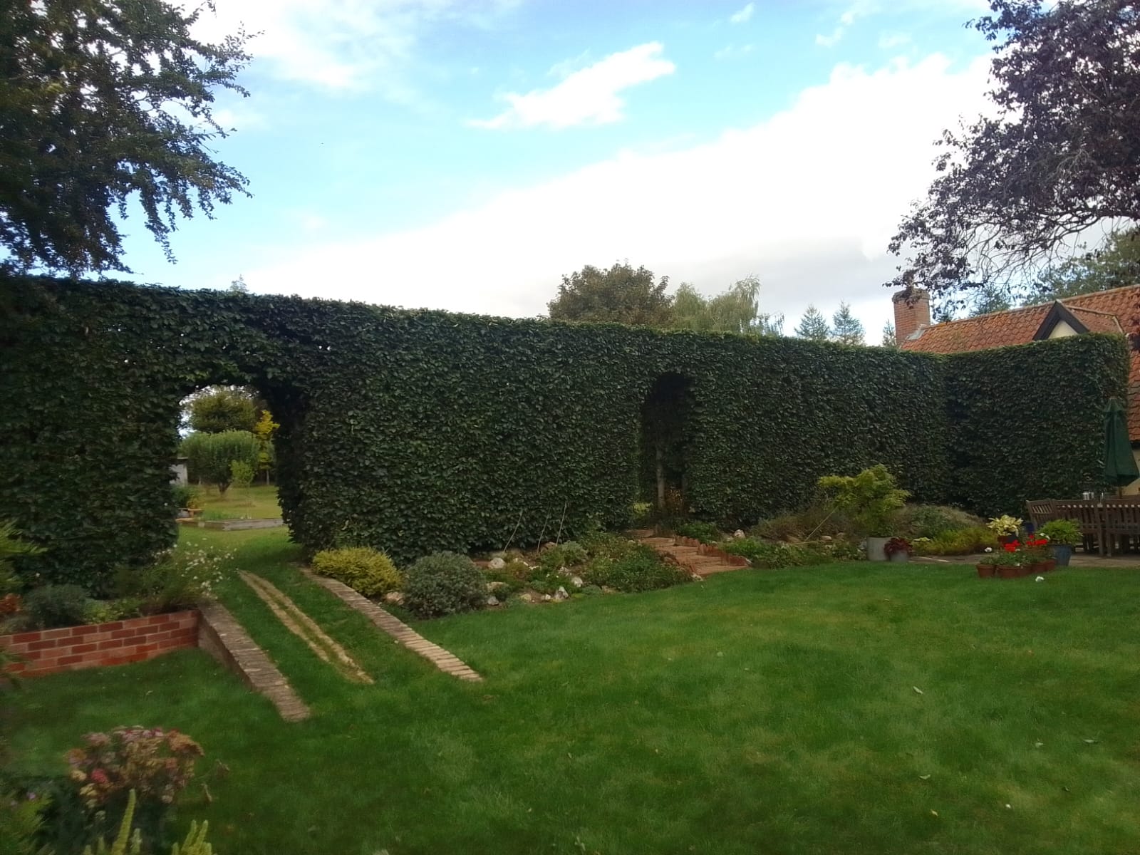 Beech Hedge Cut overview