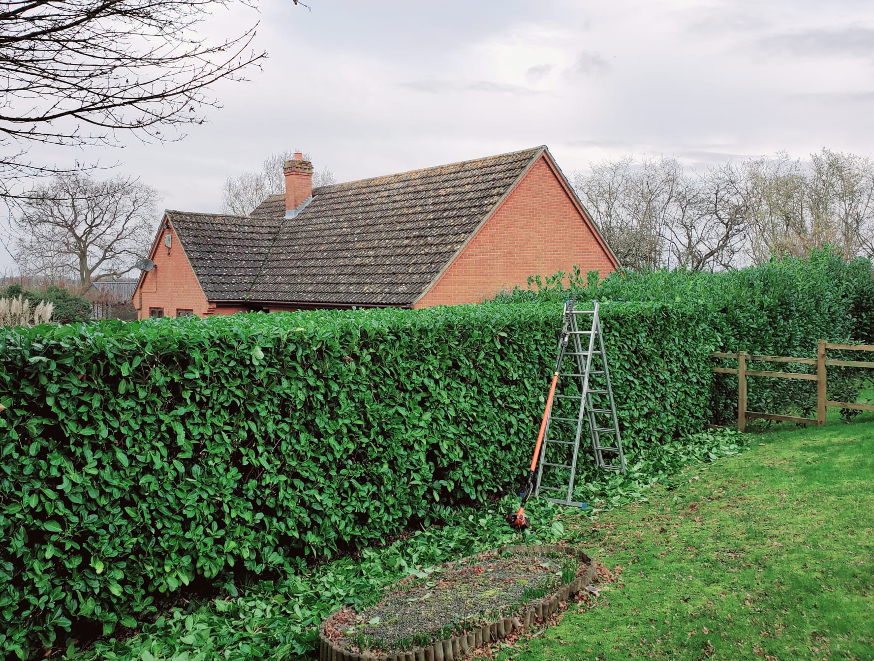Hedge trimming